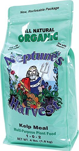 natural organic kelp meal fertilizer lawn garden plant food a bag of Neptune's Harvest