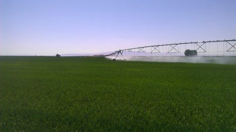 Advanced Nutrients Organic Fertilizer Buy Online on Amazon