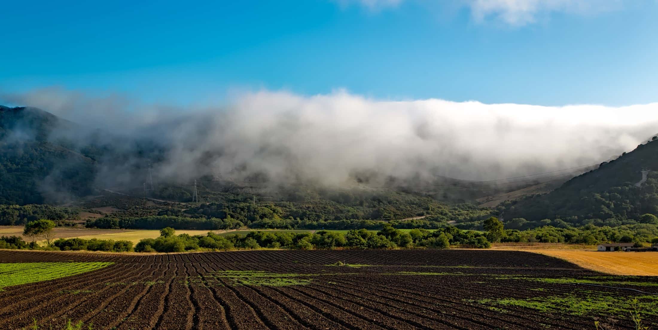 Making a difference: One farm at a time. Fertilizer for Less FIghts to Eliminate Erosion