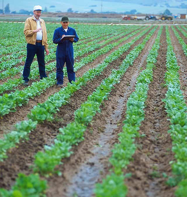 Fertilizer for Less Fights to Eliminate Erosion