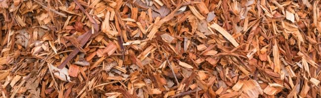 mulch over soil in garden