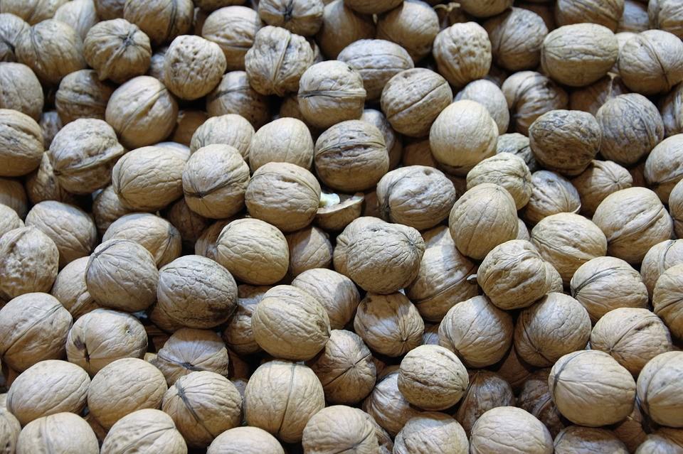 Where Can I Buy Natural Kelp Fertilizer for Walnuts