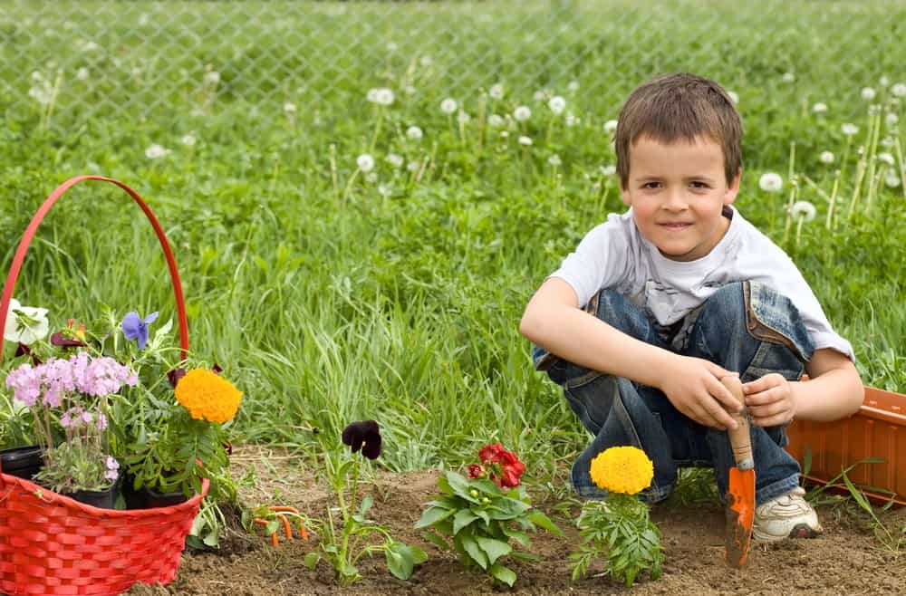 Gardening 101 for Newbies