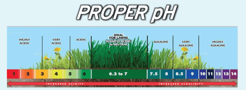 measuring the proper soil pH for lawn turf