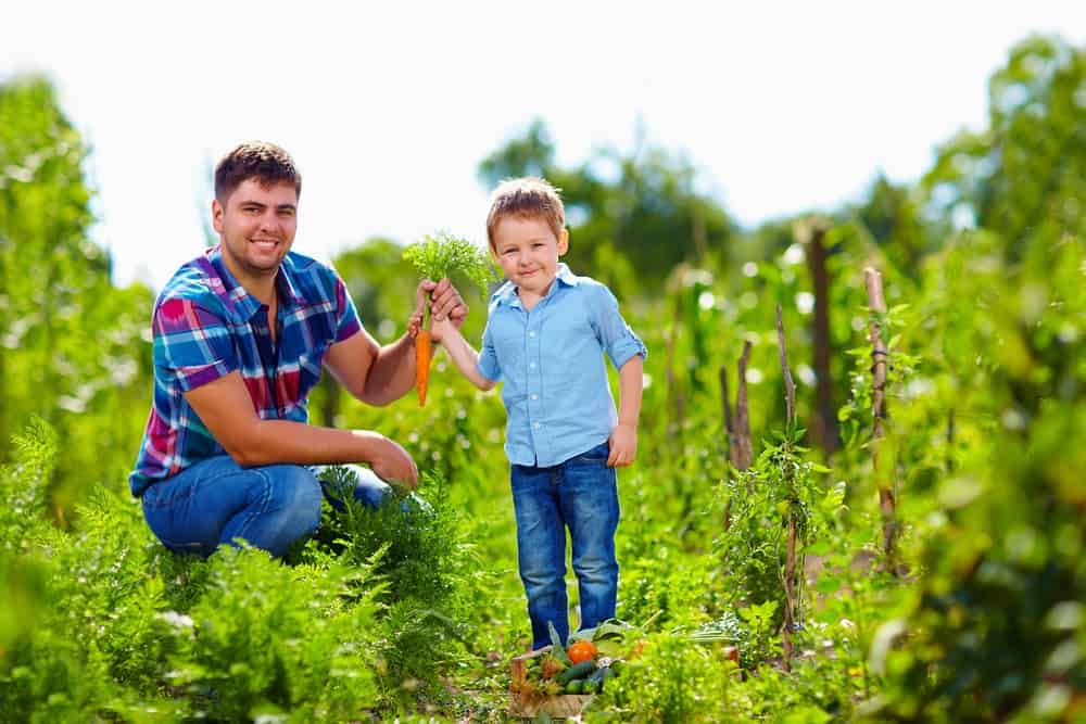 gardening creates positive vibes