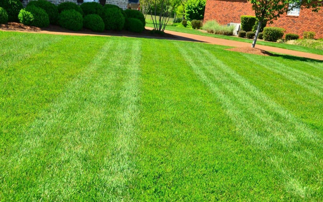 How to Change Soil pH for Lawn Grass