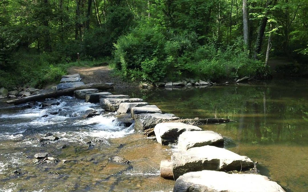 water flowing next to river rocks