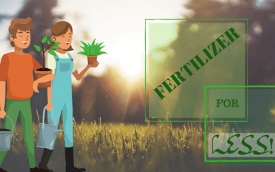 When and How to Fertilize Centipede Grass With Organic Fertilizer