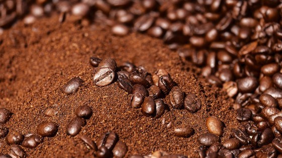 used coffee grounds as affordable fertilizer