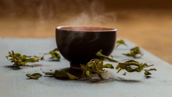 using green tea as plant fertilizer