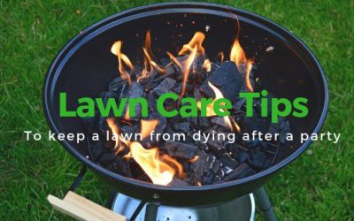 How Can I Keep my Lawn From Dying After a Huge Lawn Party?