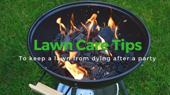 how to keep your lawn from dying after huge party