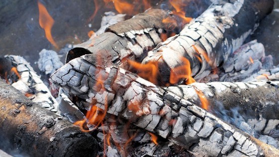 wood ash used as a plant fertilizer