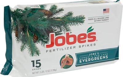 Evergreen Tree Fertilizer – Which Product Works Best?