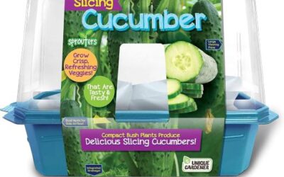 Cucumber Fertilizer – Care Guide for Growing Cucumbers