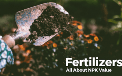 What Are The Uses For Fertilizers With A 10/20/20 NPK Value?