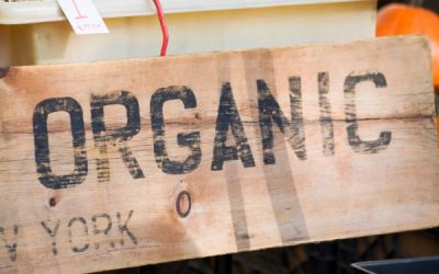 Is Natural Fertilizer Really Cost Effective?
