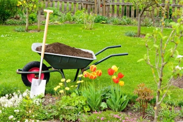 image of garden tools