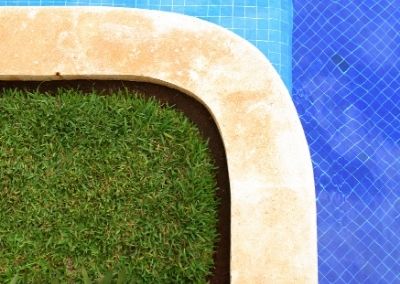 green grass growing next to a swimming pool