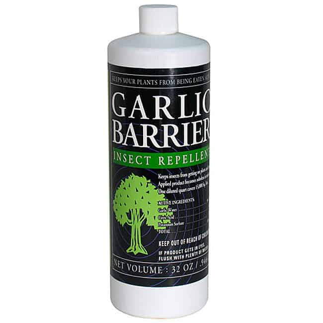 garlic barrier product ad