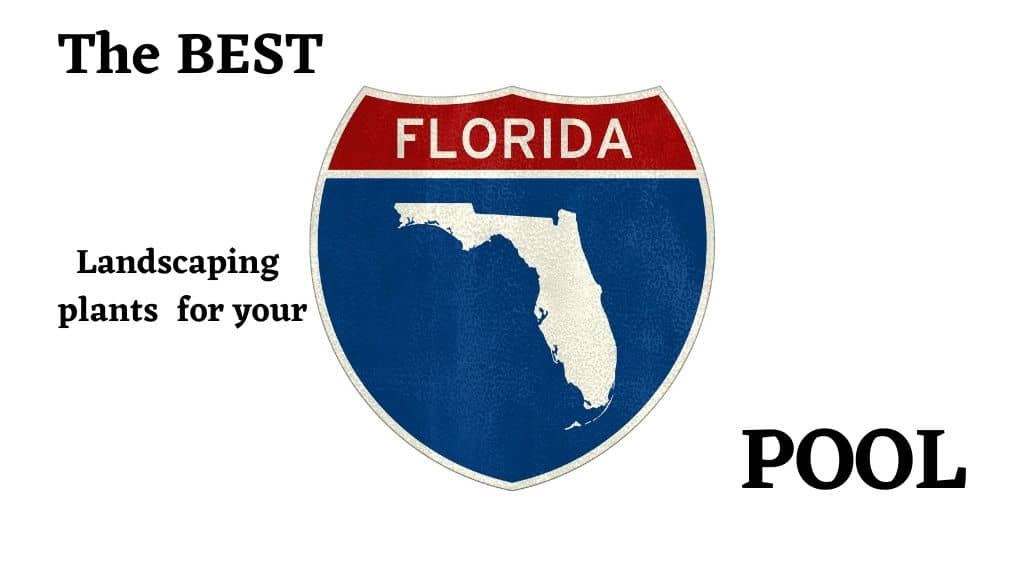 decorative image of the state of Florida