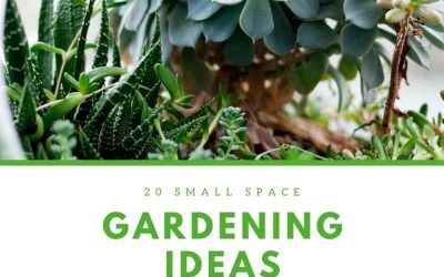 20 Small Space Gardening Ideas for Genius Gardeners