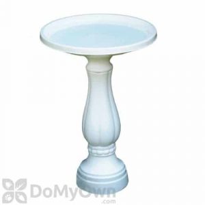 Bloem Birdbath