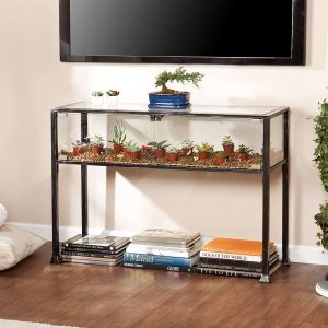 A glass terrarium that also serves as a glass table below a hanging television.