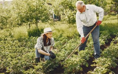 Back Pain After Gardening Work?