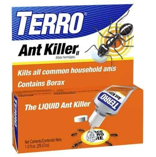 Terro Ant Killer is available online at Arbico Organics.