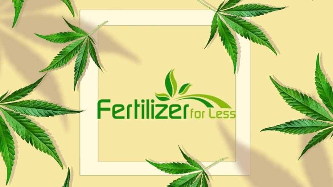 Cannabis Fertilizer – The Best Marijuana Fertilizers and Nutrients