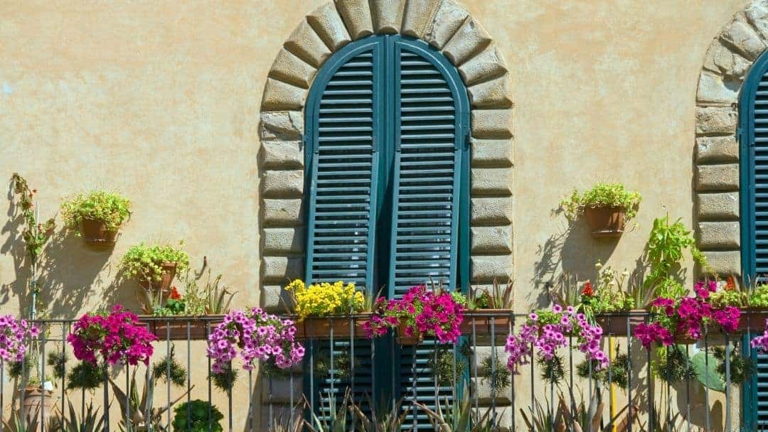 A sunny balcony garden with many planters and a variety of cacti, succulents and many flowers.