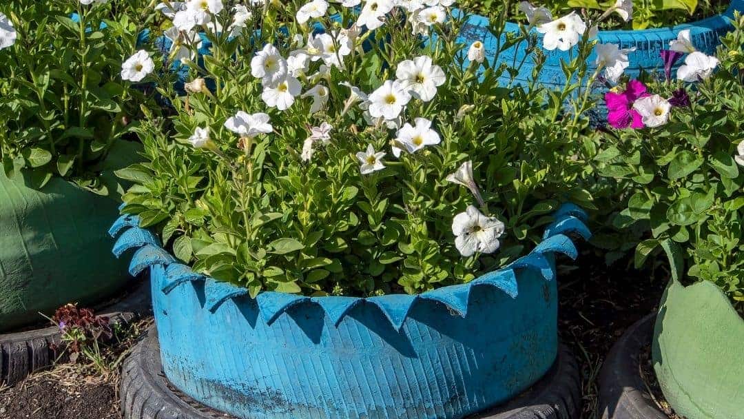 Great cut tire planter idea