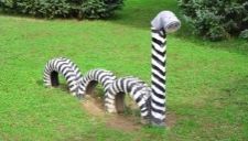 Really cool tire art made to look like a zebra.