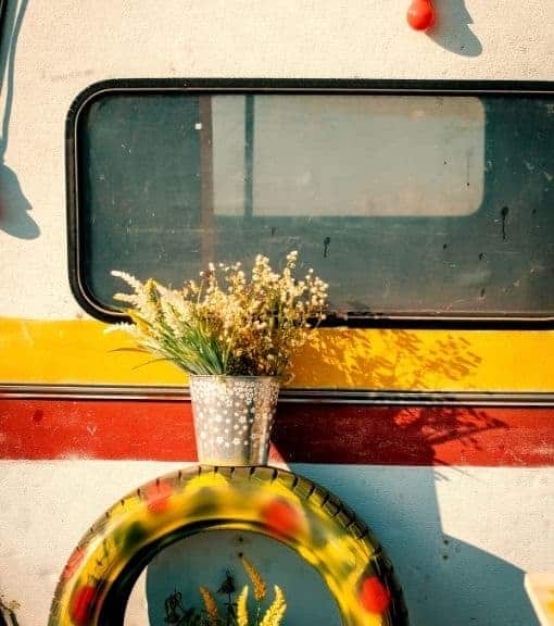 potted plants and a painted tire