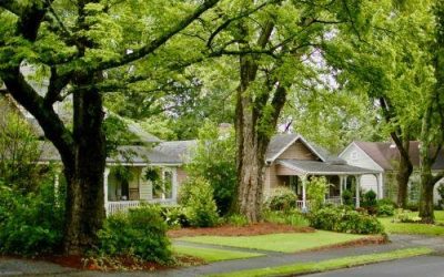 What Can I Do If a Neighbor’s Tree is Damaging My Property?