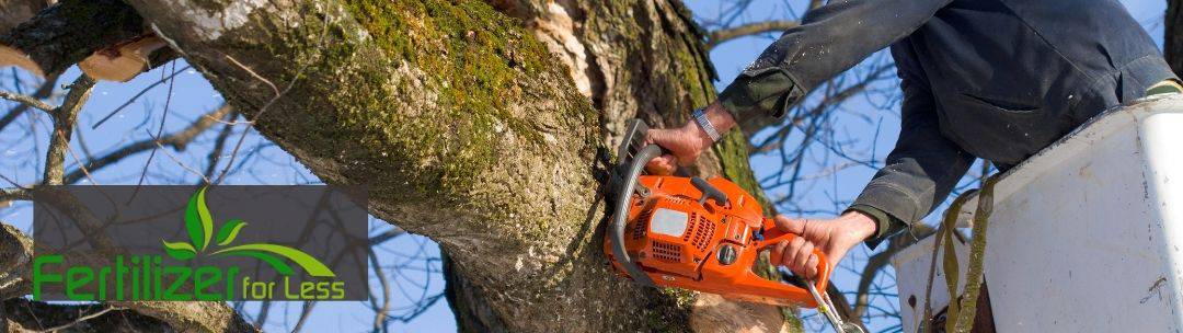 Tree trimming with a chainsaw.