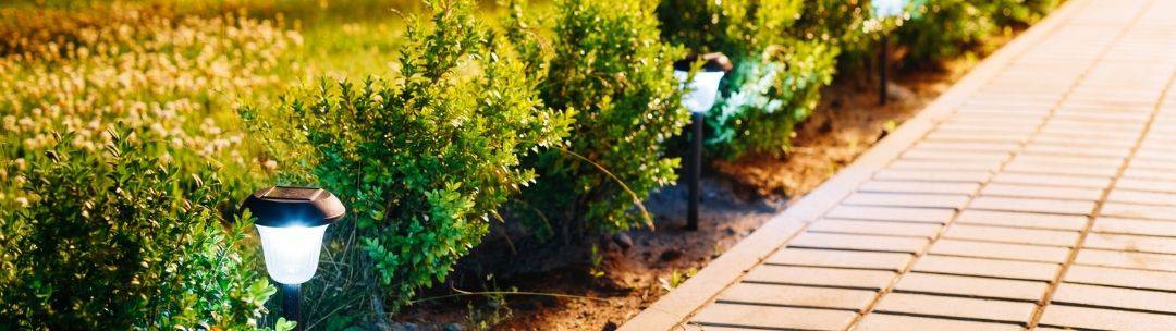 Several outdoor landscape lights in a row next to planted shrubs.