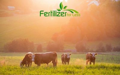 3 Key Tips for Raising Healthier Animals and Livestock