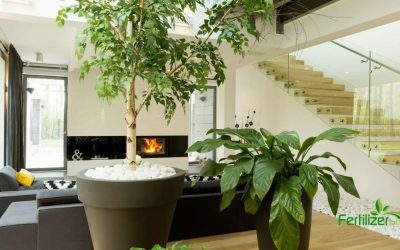5 Tips for Designing a Gorgeous Garden Room