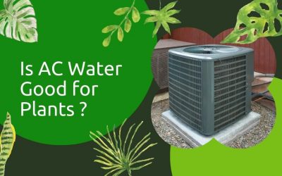 Is AC Water Good for Plants