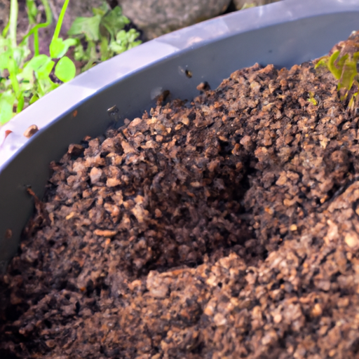 Using Coffee Grounds in your Garden the Right Way