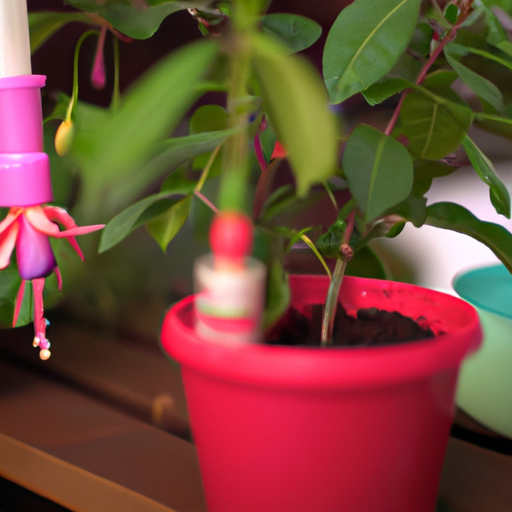 Fertilizing Fuchsia Plants And Caring For Yours At Home