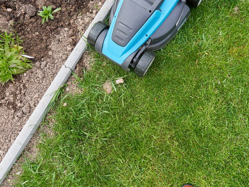 edging stones separating a lawn from a small garden