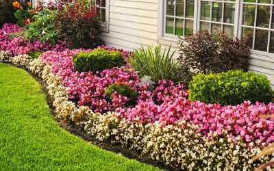 Lawn Edging Ideas For The Perfect Landscape Design and Garden Edging