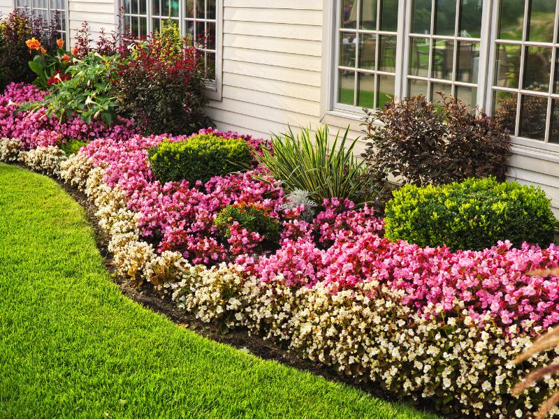 Lawn Edging Ideas For The Perfect Landscape Design