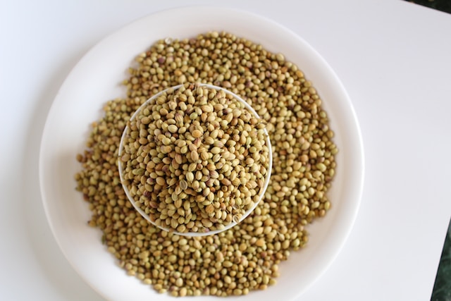 A bowl full of coriander seeds