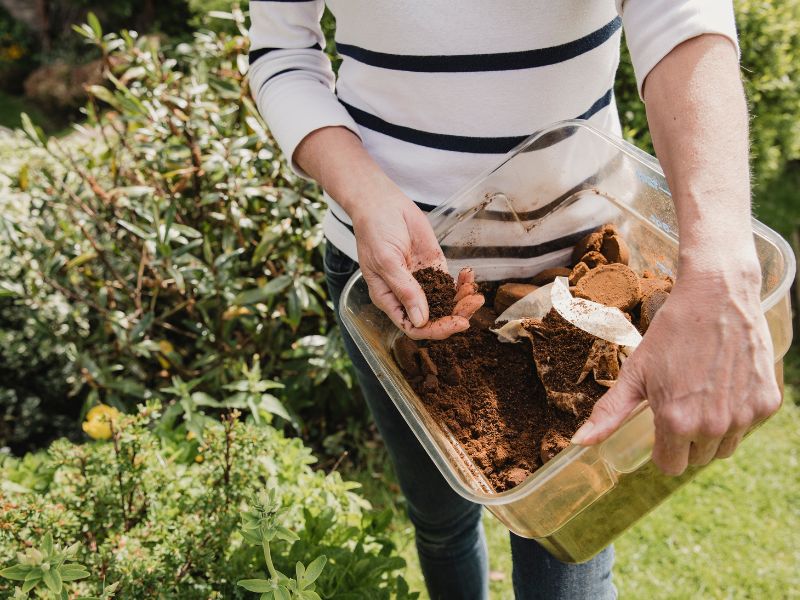 Spreading coffee grounds around in a garden