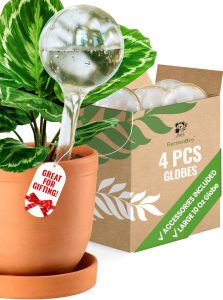 Large Plastic XL Set of 4 - Automatic Plant Waterer Set for Indoor and Outdoor Plant Watering