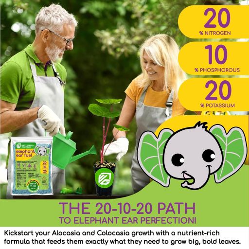 Banner image showing gardeners using the product from Wellspring Gardens